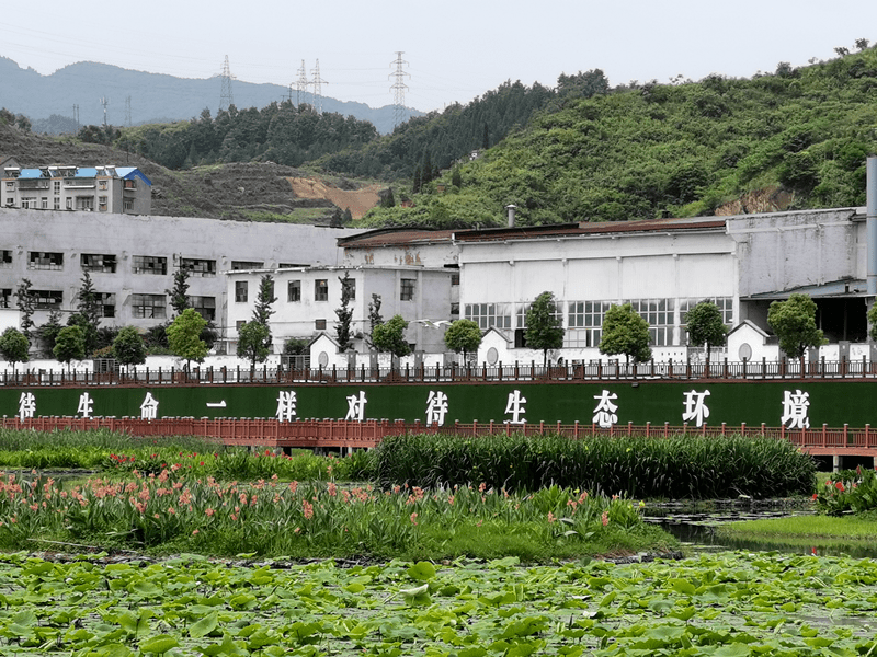 为保护幼鸟安全越冬武当山太极湖"岛"上植物推迟3个月"收割"