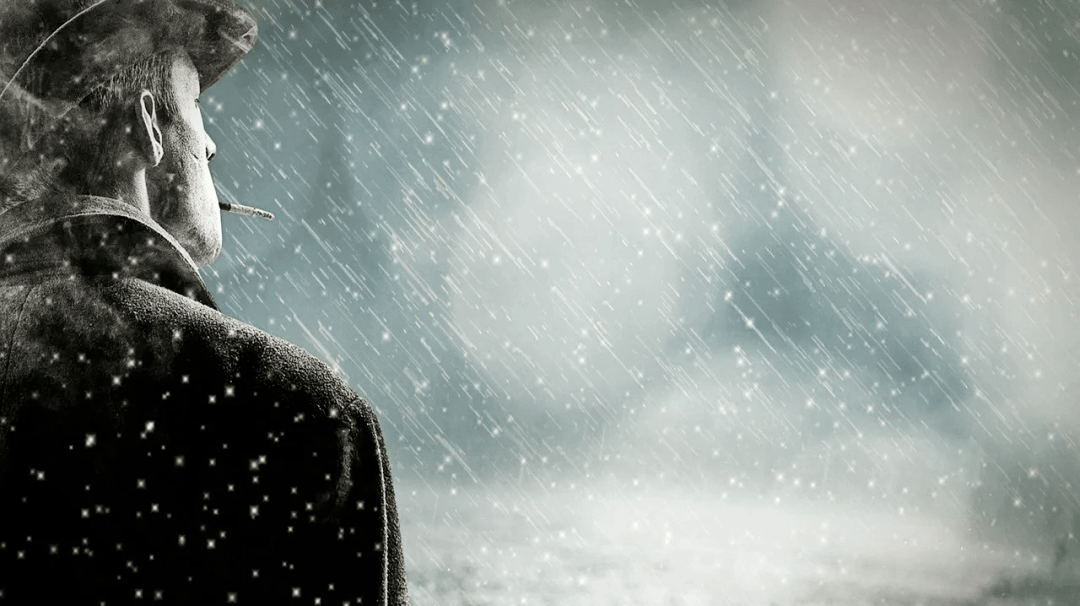 卢梭孤独漫步者的遐想