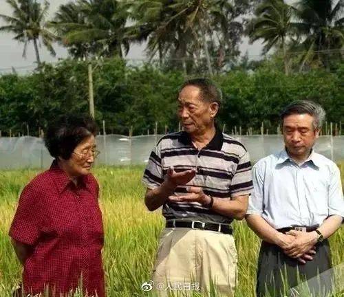 91吃瓜和袁隆平是同学！这位91岁院士把一切献给“吃瓜群众”