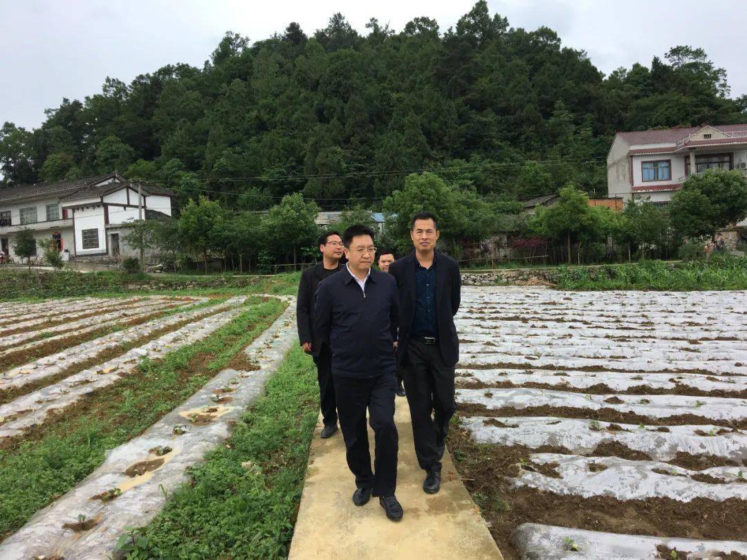 禄斌到乡镇调研督导乡村振兴工作