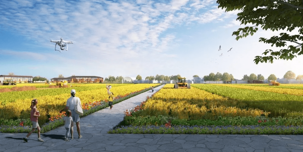 天府农博岛封闭施工全新大田展区效果出炉