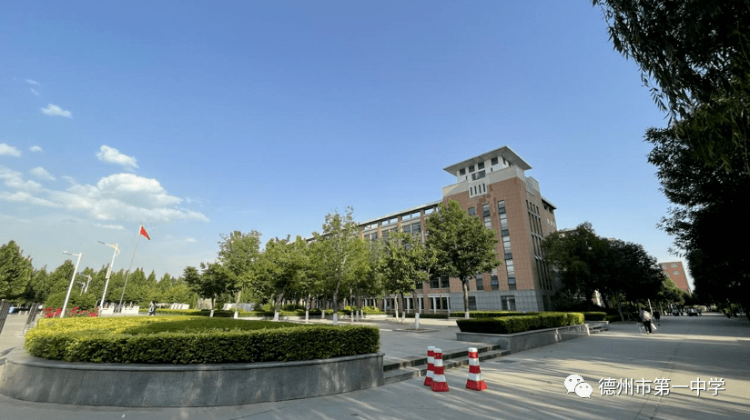 杏福采摘节共享文明果德州一中新校区第二届文明校园采摘节