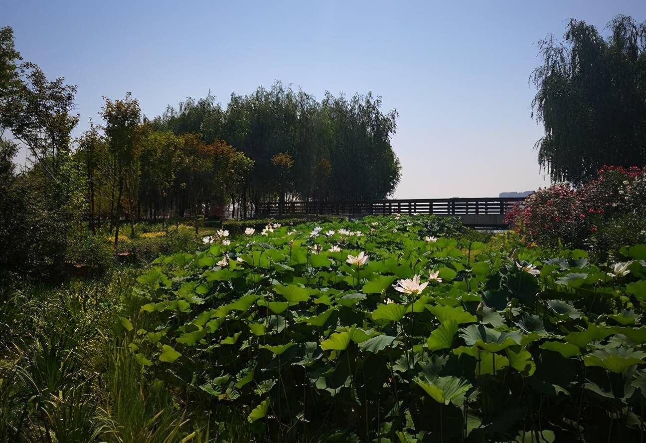 打造郑州的绿色海绵