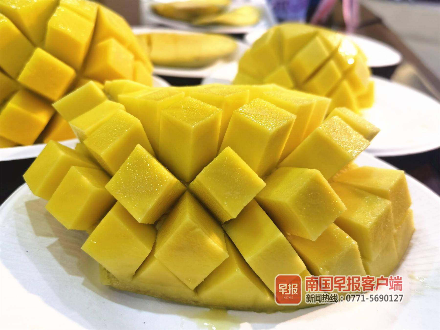 好消息!柬埔寨芒果正式亮相南宁,市民在家门口就能吃到