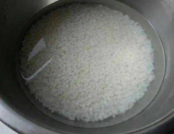 什么大米煮粥香 98dadbf0f7e046a6a1ff874062c68369.jpeg