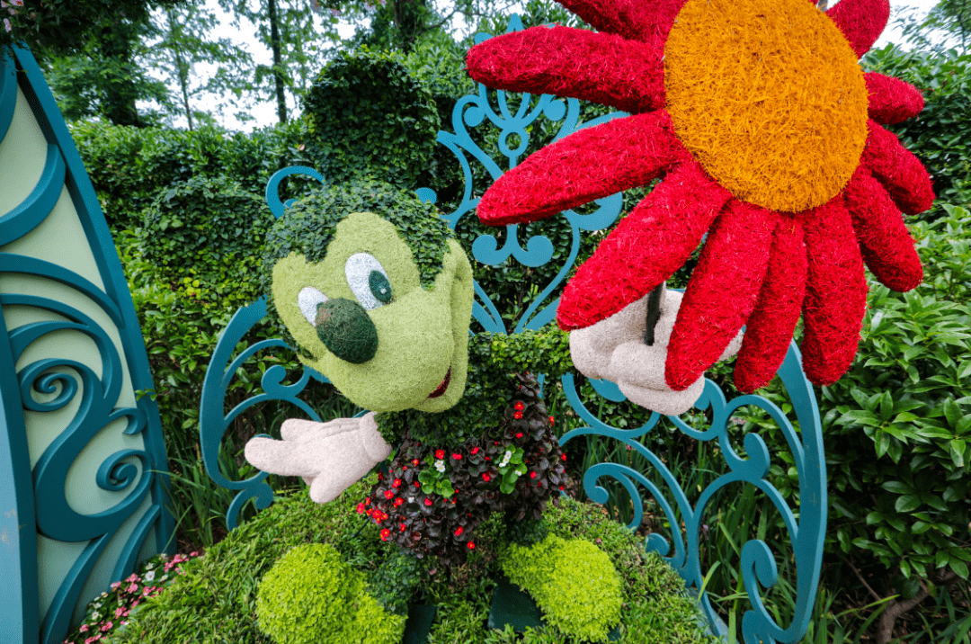 迪士尼来到花博会啦!花卉版 "梦想奇缘"等你来打卡