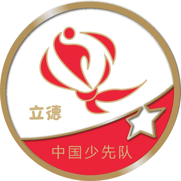 盐城红领巾盐城市大丰区第一小学火热争章彰显风采