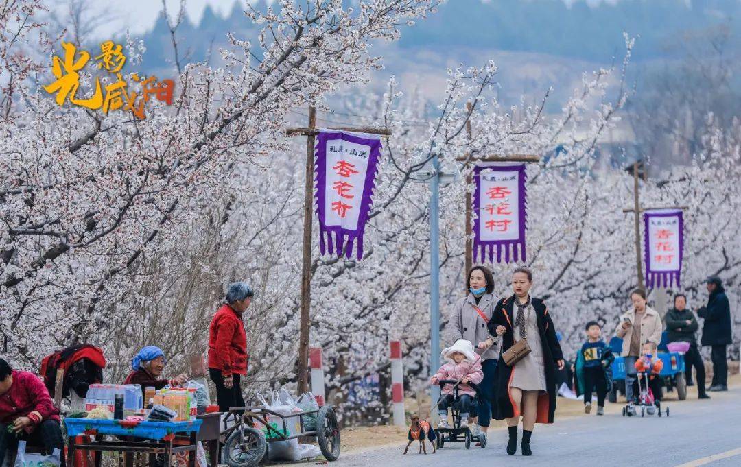 林下 贾永军 摄《花开时节游咸阳 师育民摄《秋染郑国渠》赵福寅