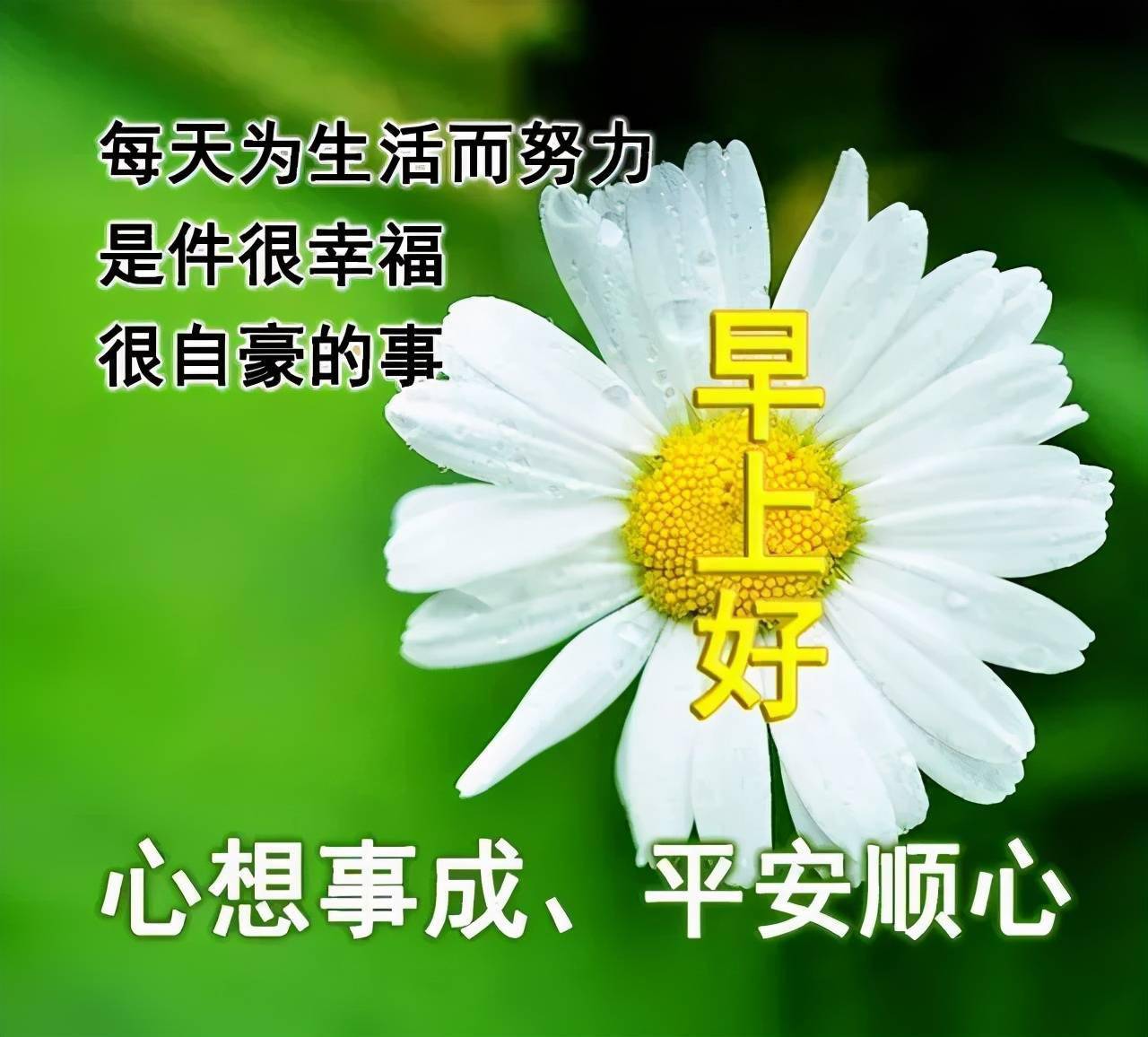早安吉祥感恩岁月记住美好早安
