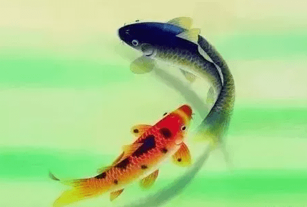 b2320cf5b0d941d5a414ae9797f14f1d.png