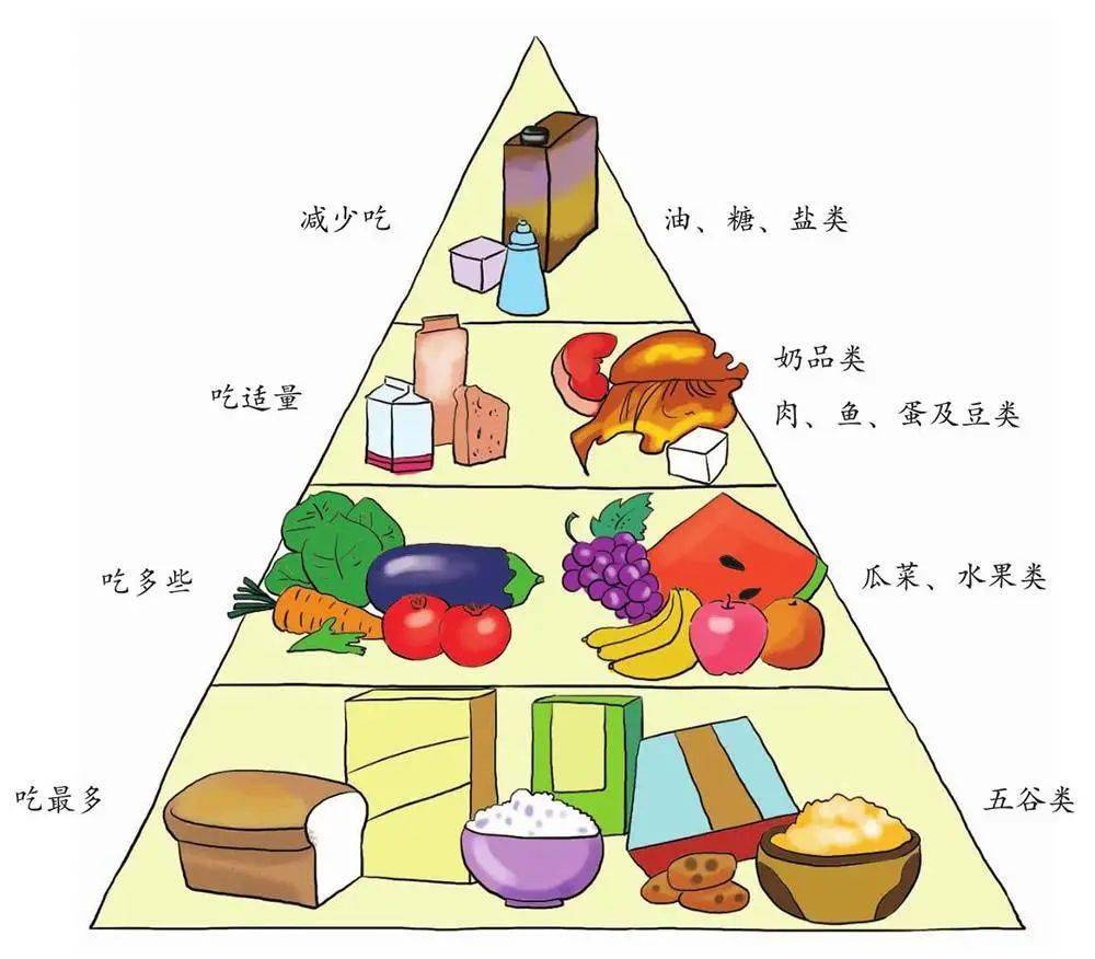 健康膳食金字塔