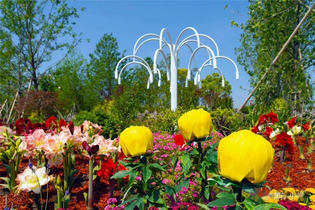 第十届中国花博会开幕至今,市民观展的热度一直很高