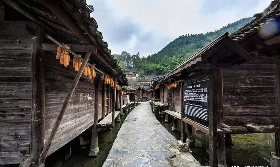 苗族建築經歷風雨卻為何百年不損