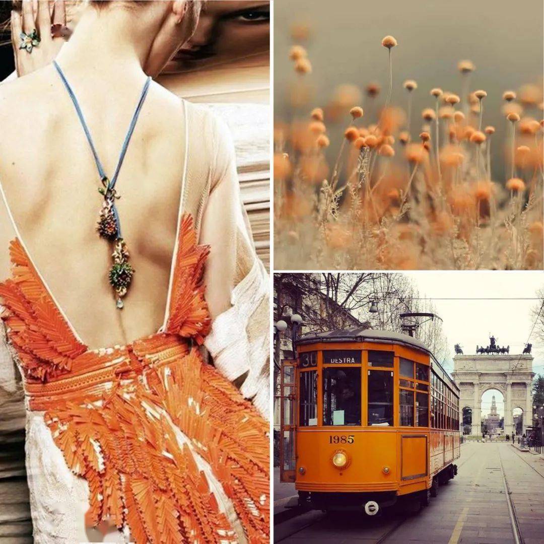 远山含笑简谱_儿歌简谱