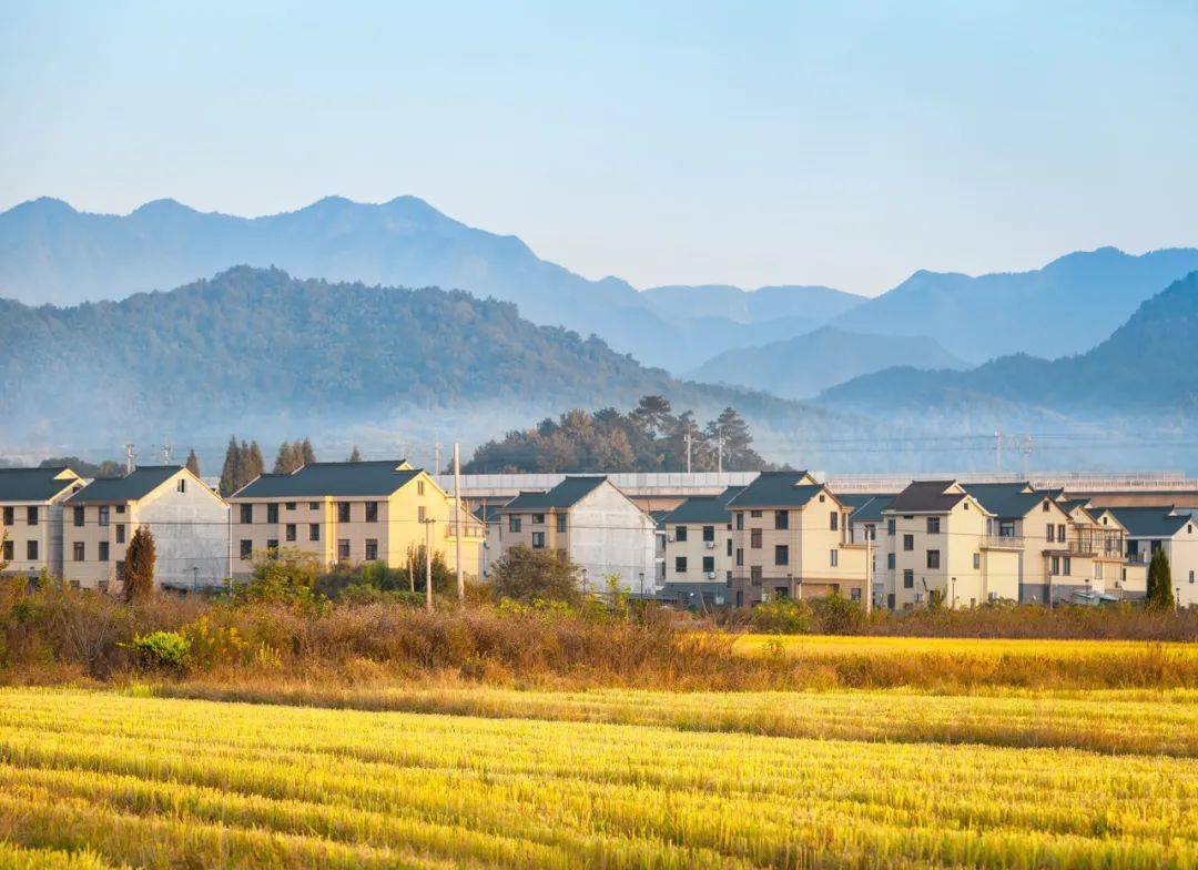 看完浙江农村豪宅说这是欧洲我都信