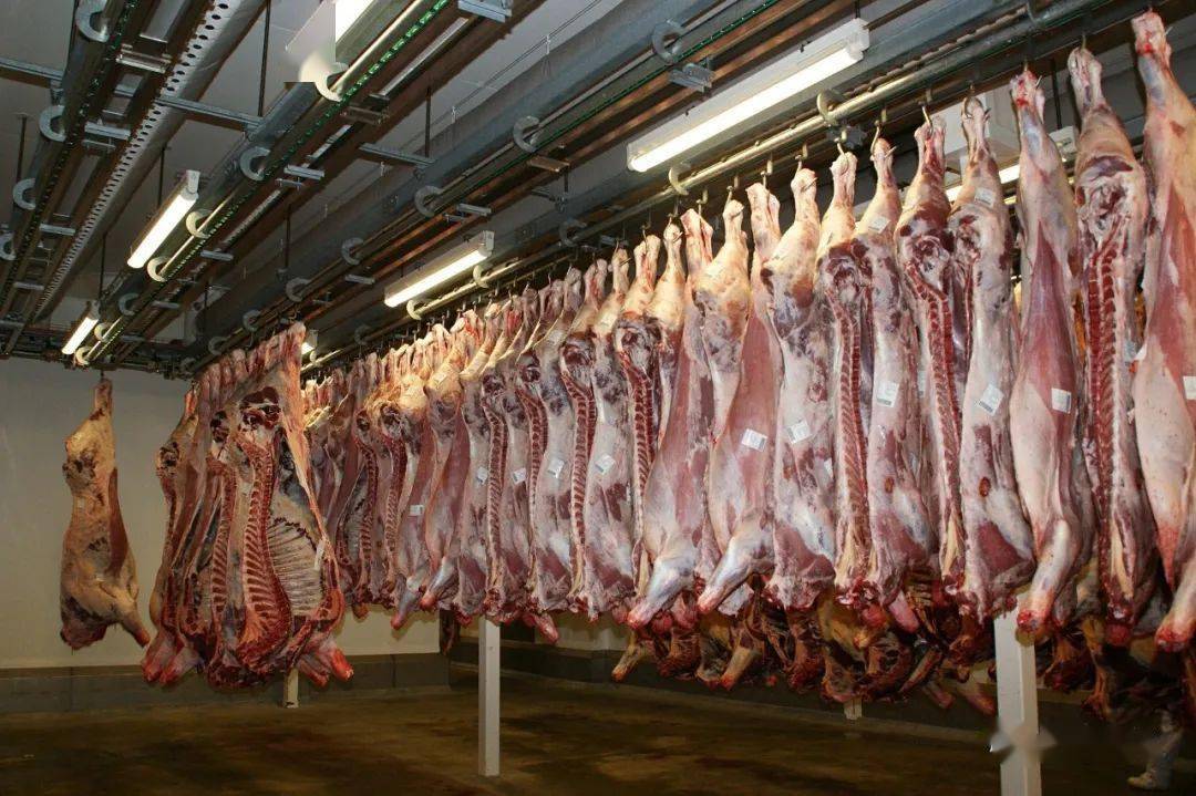 人均 猪肉_猪肉炖粉条图片(3)