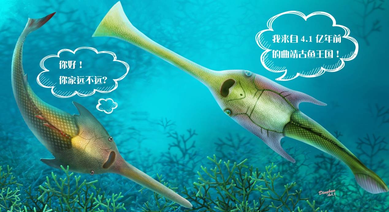 华南|云南曲靖发现4.1亿年前“游动”的三叉戟，名为长吻三岐鱼