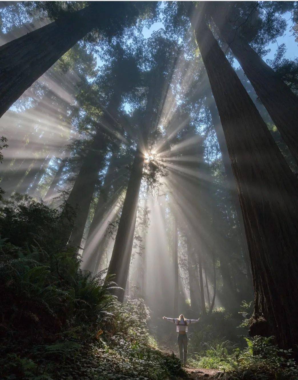 bc省难得一遇的精致美景清静之地23天行程久违的夏季旅行真的太不容易