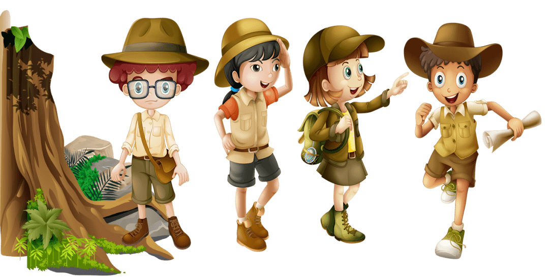 植物探险队再次出发02探寻兰科植物绝处逢生的生存智慧