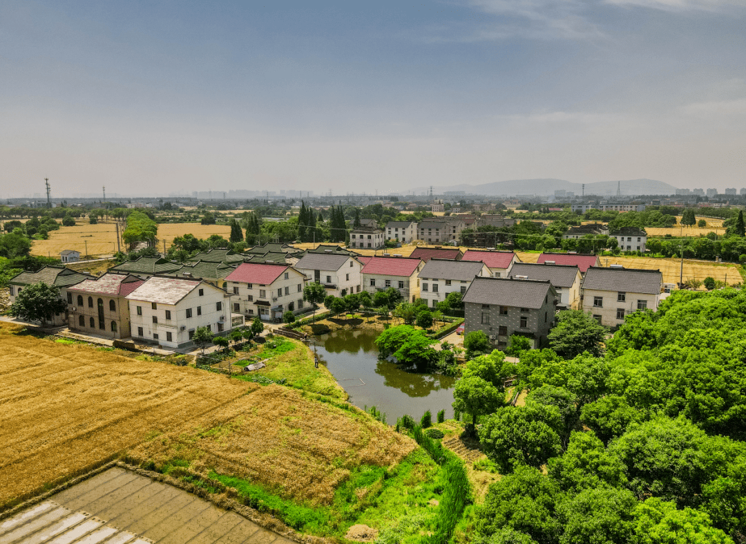 亮相常福千村美居大家庭再添新成员