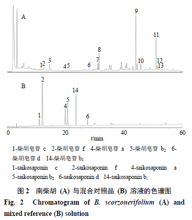 医学简谱_儿歌简谱