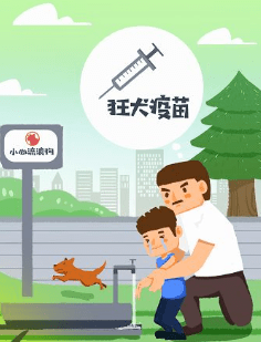 【北京疾控提醒您】夏季动物致伤增多,需要关注这种传染病!