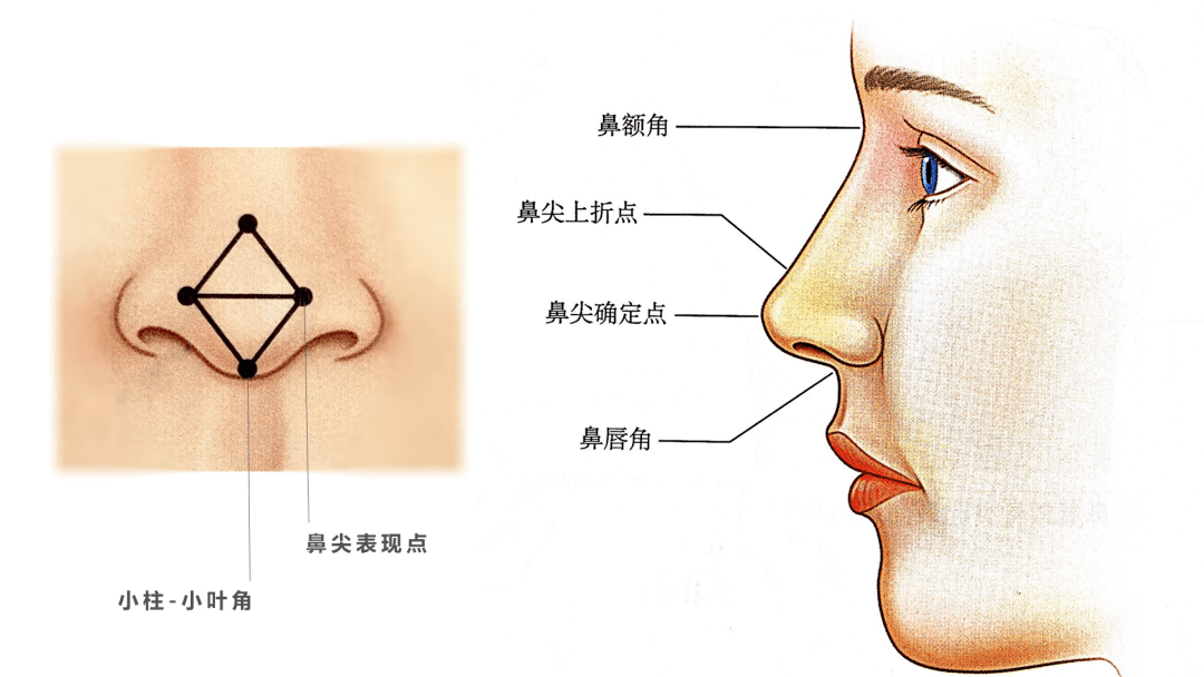 审美趋势