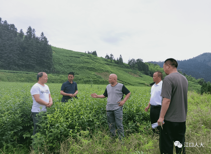 党史学习教育我为群众办实事刘仕明到怒溪镇调研指导