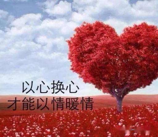 最近微信上很火的名子,快分享到朋友圈吧