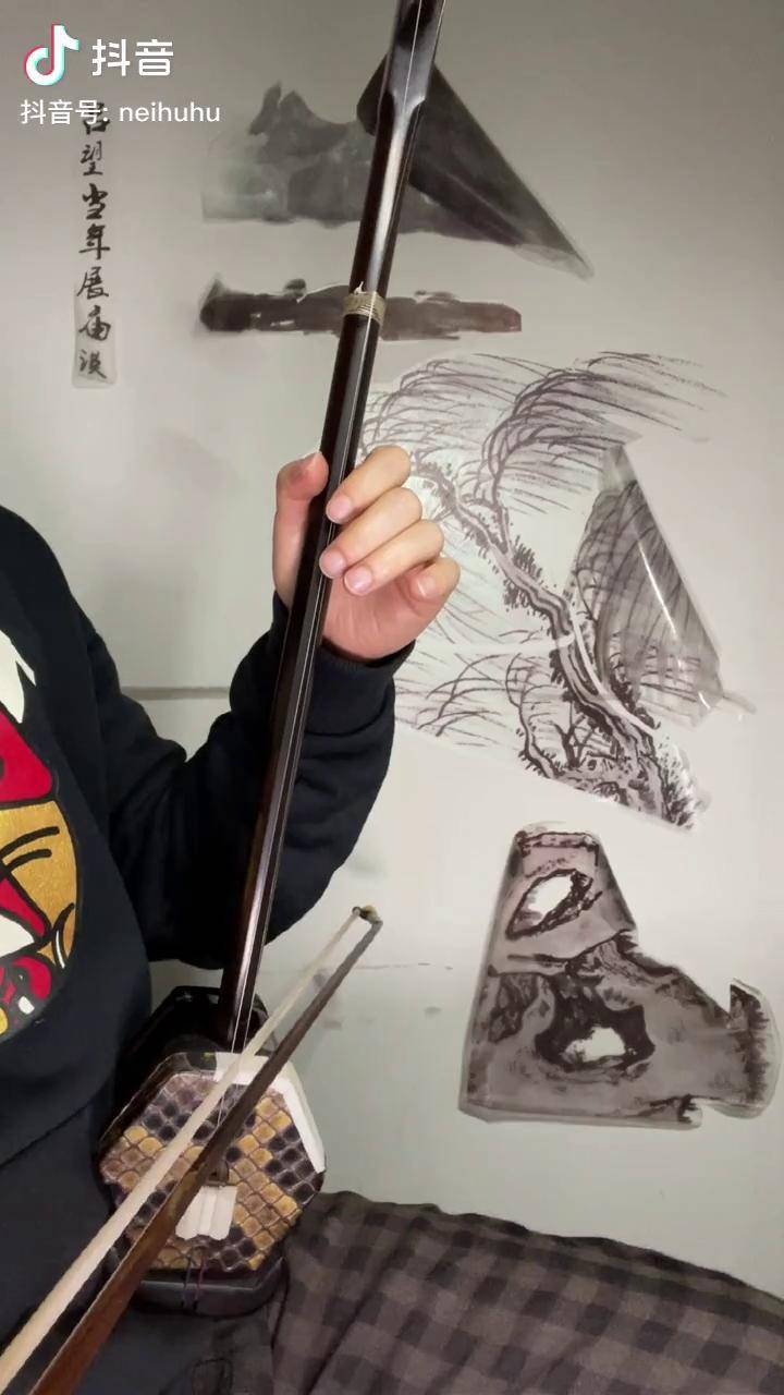 二胡民族乐器洪湖水浪打浪g调52弦