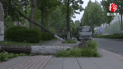 ecc138a8bc81476ea0f7424043b76fa0.gif