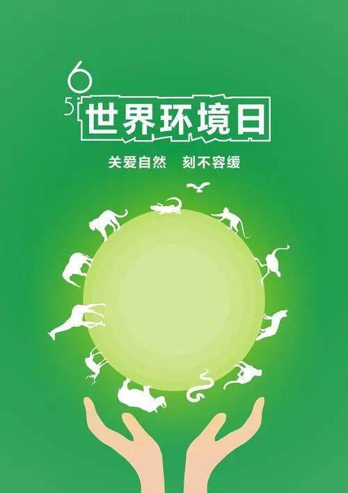 世界环保日你了解多少