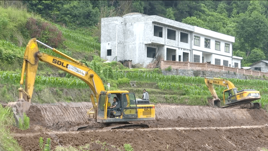 金沙县五龙街道高标准农田建设促进特色产业发展