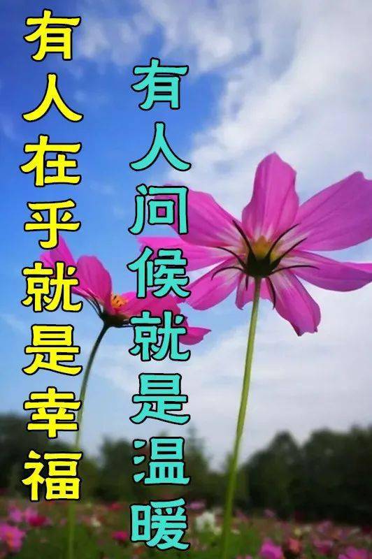 6月5日最漂亮早上好动态表情图片大全早晨好动图美图大全