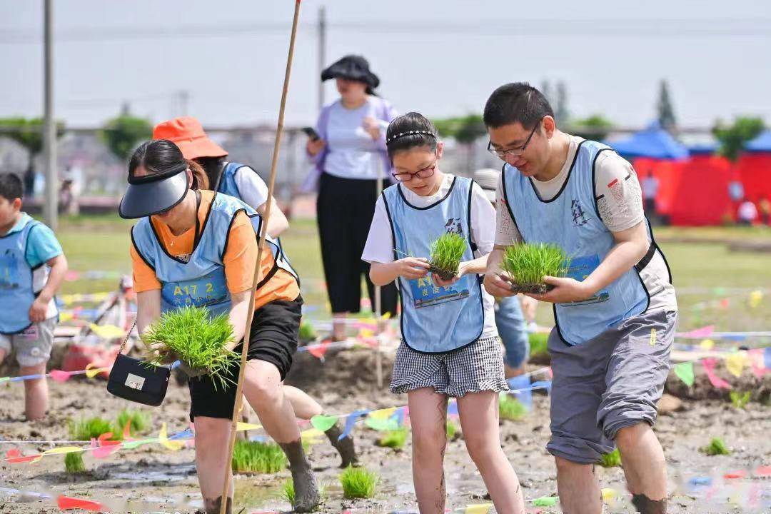 插秧吃瓜钓龙虾这场花海里的亲子农耕之旅太香了