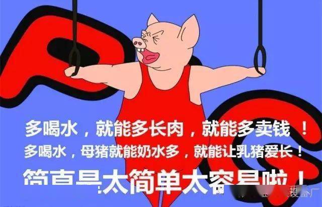 1a8cdb0257e14c9ea37ff0884092c5d9.jpeg