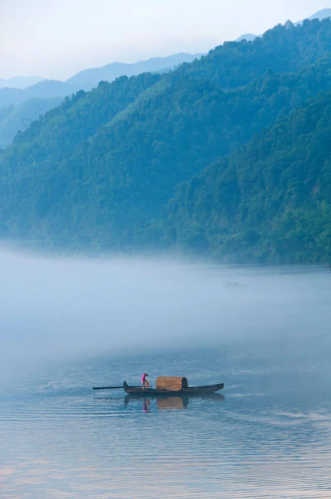 【文艺天地】芒种:天地有锋芒,人间隐锐气