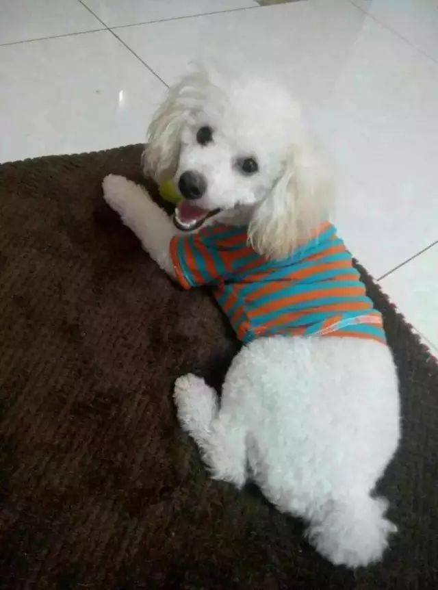 那些细小病魔斗争的那些日子 刻骨铭心 毯子