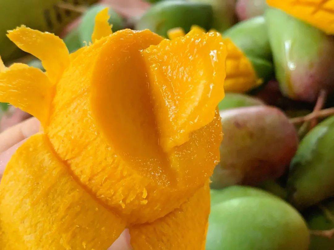 海南贵妃芒皮薄核小,肉厚汁多,好吃到尖叫!_芒果