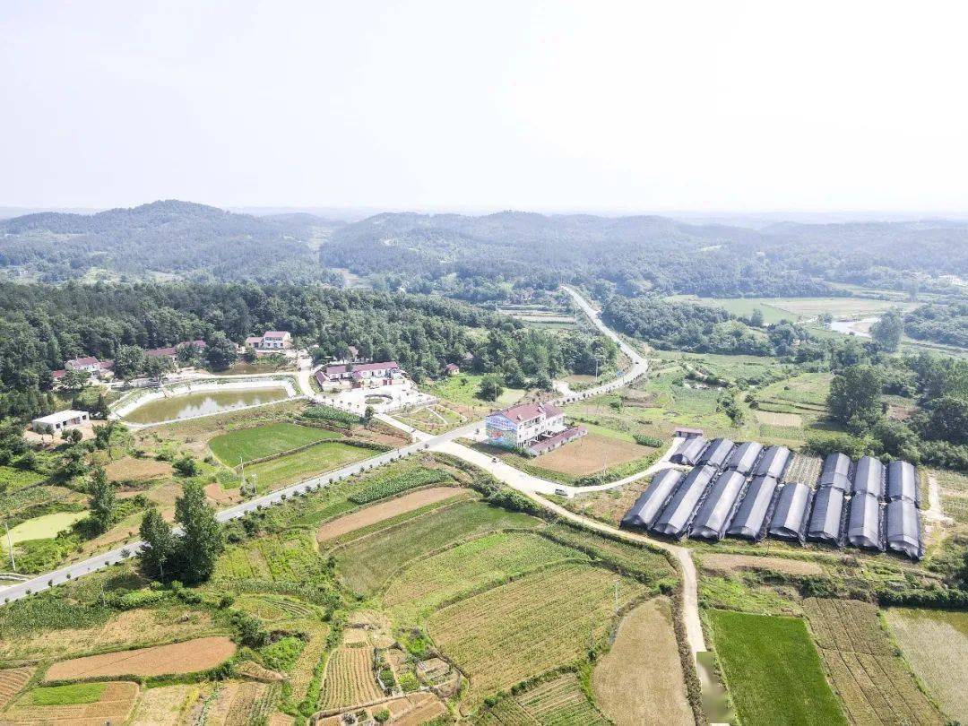 府河镇四五咀村美丽乡村靓起来