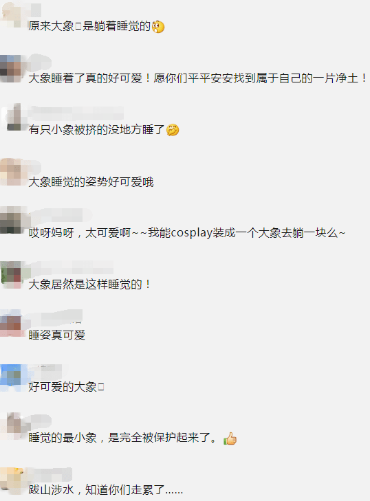 大象大象简谱_大象儿歌简谱(2)