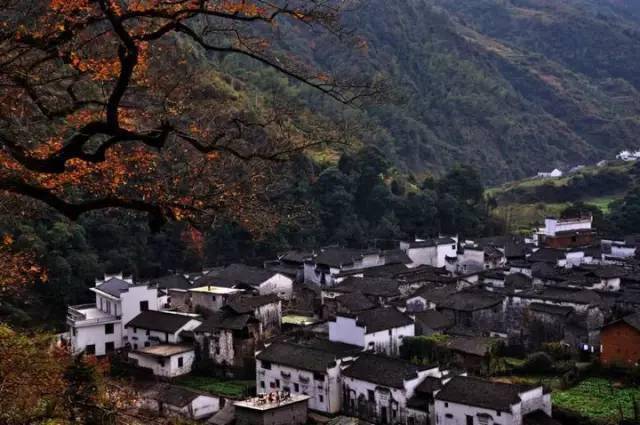 中国农村人口最多的村_中国人口最多的村庄,全村人都是同样的姓,人口相当于