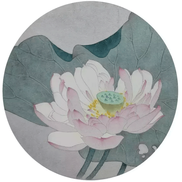 国画教程工笔荷花牡丹玉兰步骤画法
