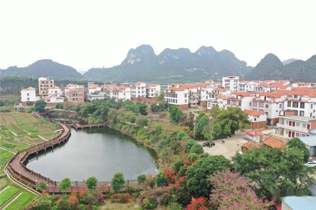 武鸣区乡村建设成绩显著,排在各县区前列_南宁市