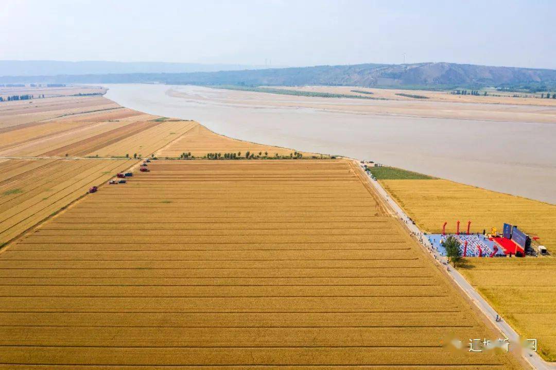 "黄河情·麦穗香"2021运城小麦文化节开幕_农业部