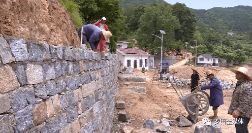 我为群众办实事罗田县凤山镇以项目为抓手助推乡村振兴