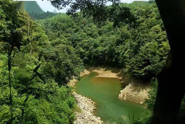 南雄杨梅水库深藏在山里的清泉