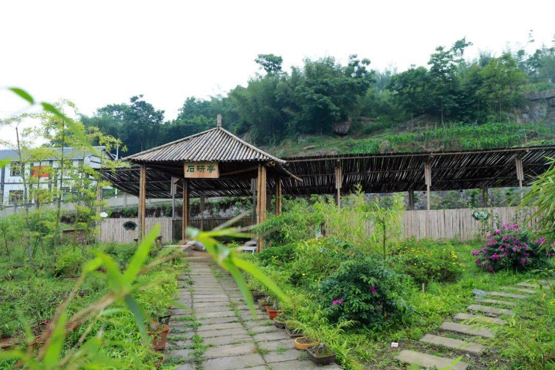 创建天府旅游名县来四川兴文享竹居之静雅体验驿站新模式