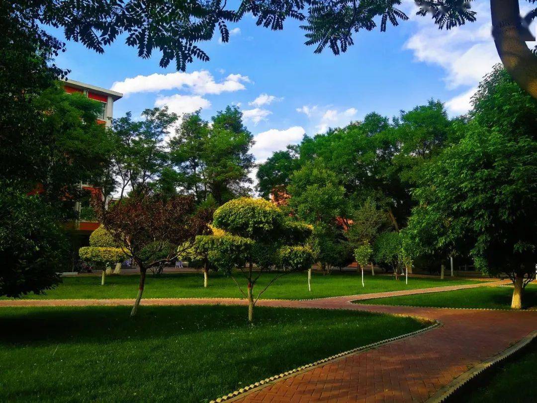 夏日校园,与您邂逅!_夏天