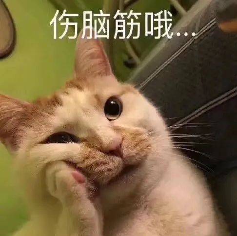 fa5476e5c027440b8f596157b68518af.jpeg